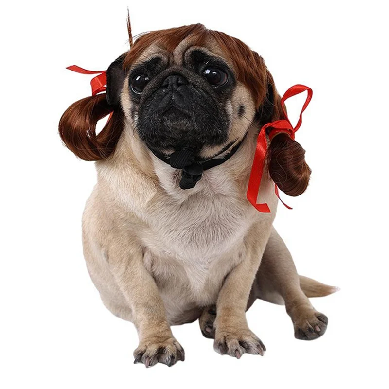 Cute pug wearing a pet wig for Christmas holiday with red ribbons in pigtails