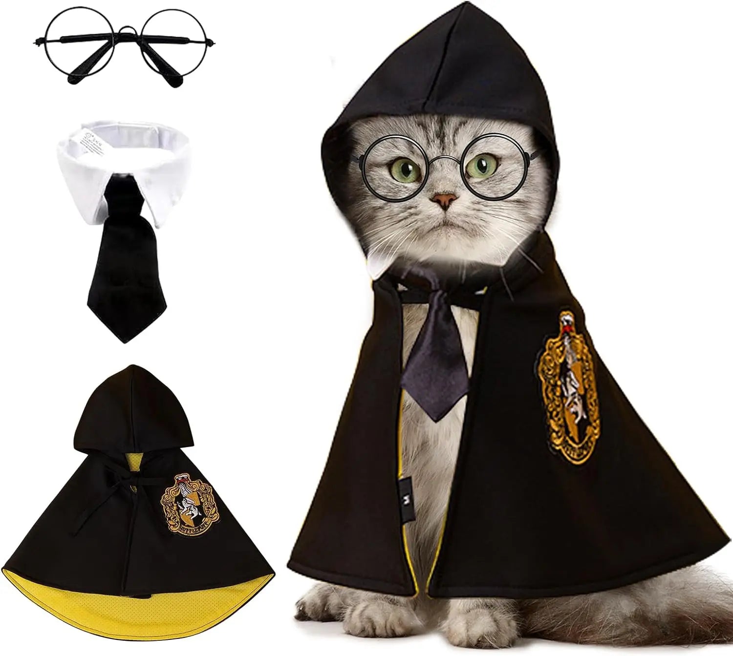 Adorable cat in a pet wizard costume cloak with glasses and tie for Halloween fun