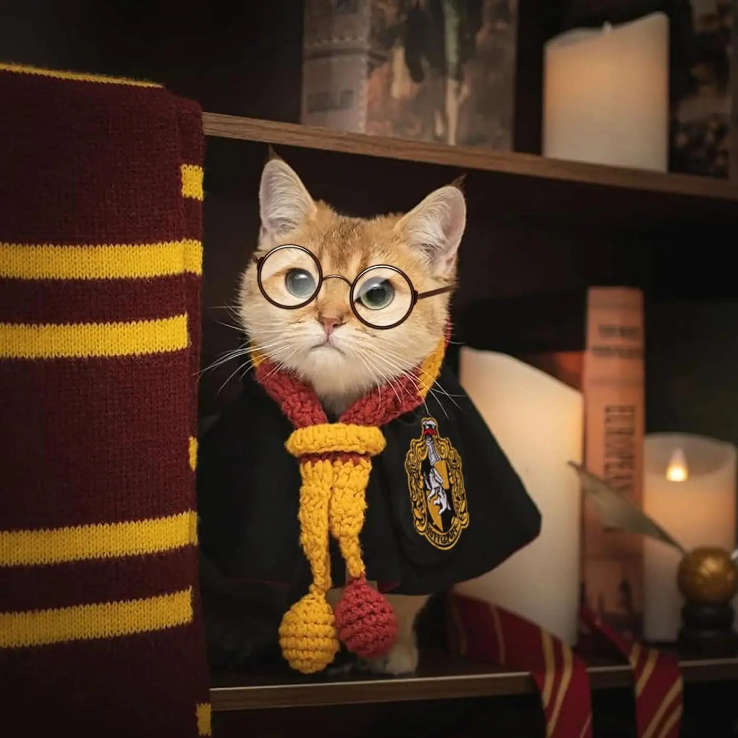 Cute cat wearing a pet wizard costume cloak with glasses and Gryffindor scarf for magical dress-up
