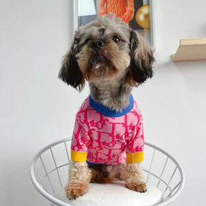 Adorable pink dog sweater for small dogs with colorful accents by Zoomies & Co
