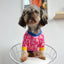 Adorable pink dog sweater for small dogs with colorful accents by Zoomies & Co