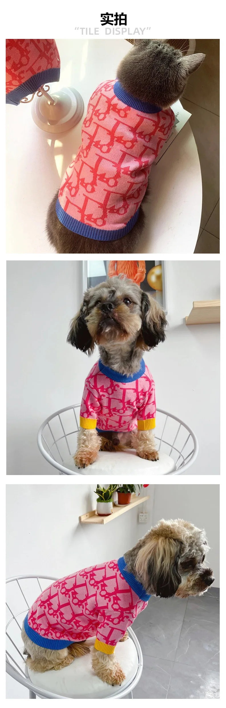 Cute pink dog sweater for small dogs by Zoomies & Co featuring a colorful design and cozy fit