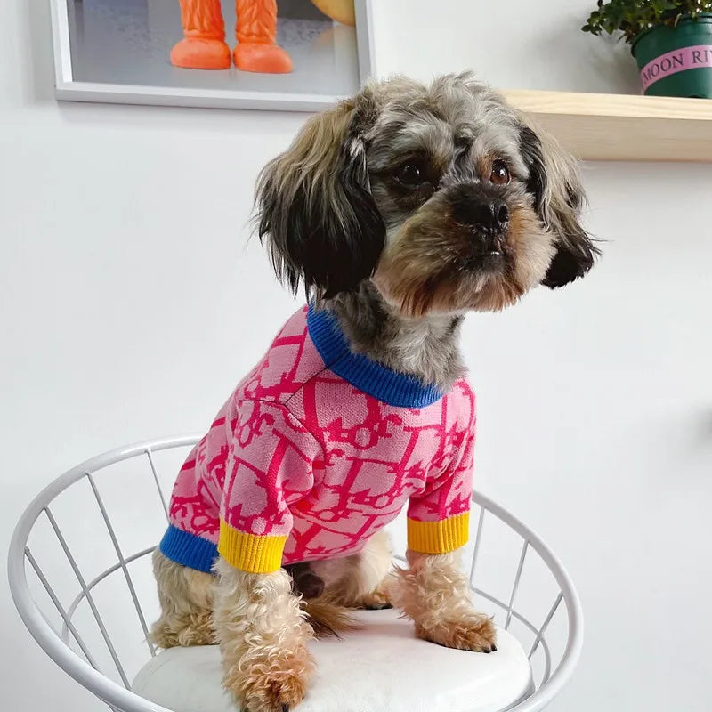 Cute small dog wearing a pink dog sweater for small dogs with colorful accents