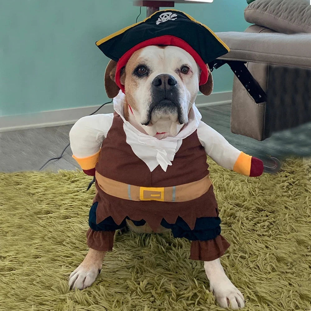 Adorable pirate pet costume for cats and dogs featuring a pirate hat and outfit