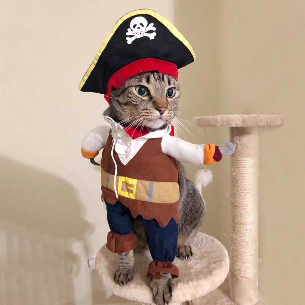 Adorable pirate pet costume for cats and dogs featuring a hat and pirate outfit