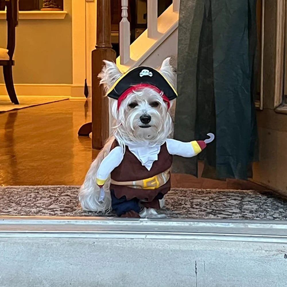 Adorable dog in a pirate pet costume for cats and dogs with a hat and hook, perfect for Halloween