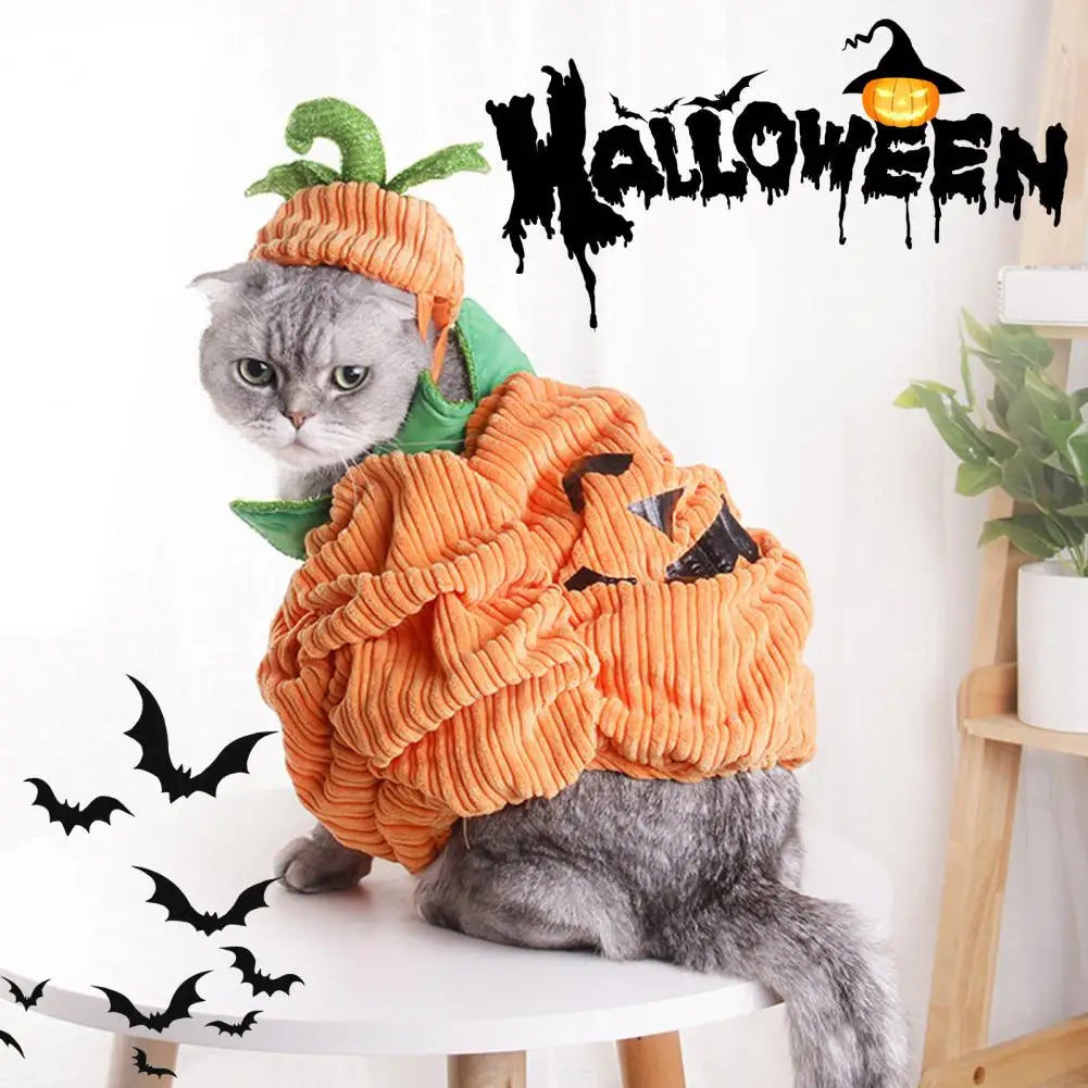 Adorable pumpkin pet costume for small dogs featuring a cozy orange design with a green stem