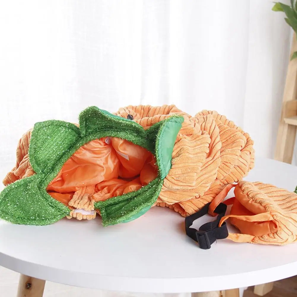 Pumpkin pet costume for small dogs with soft fabric and green leaf accents