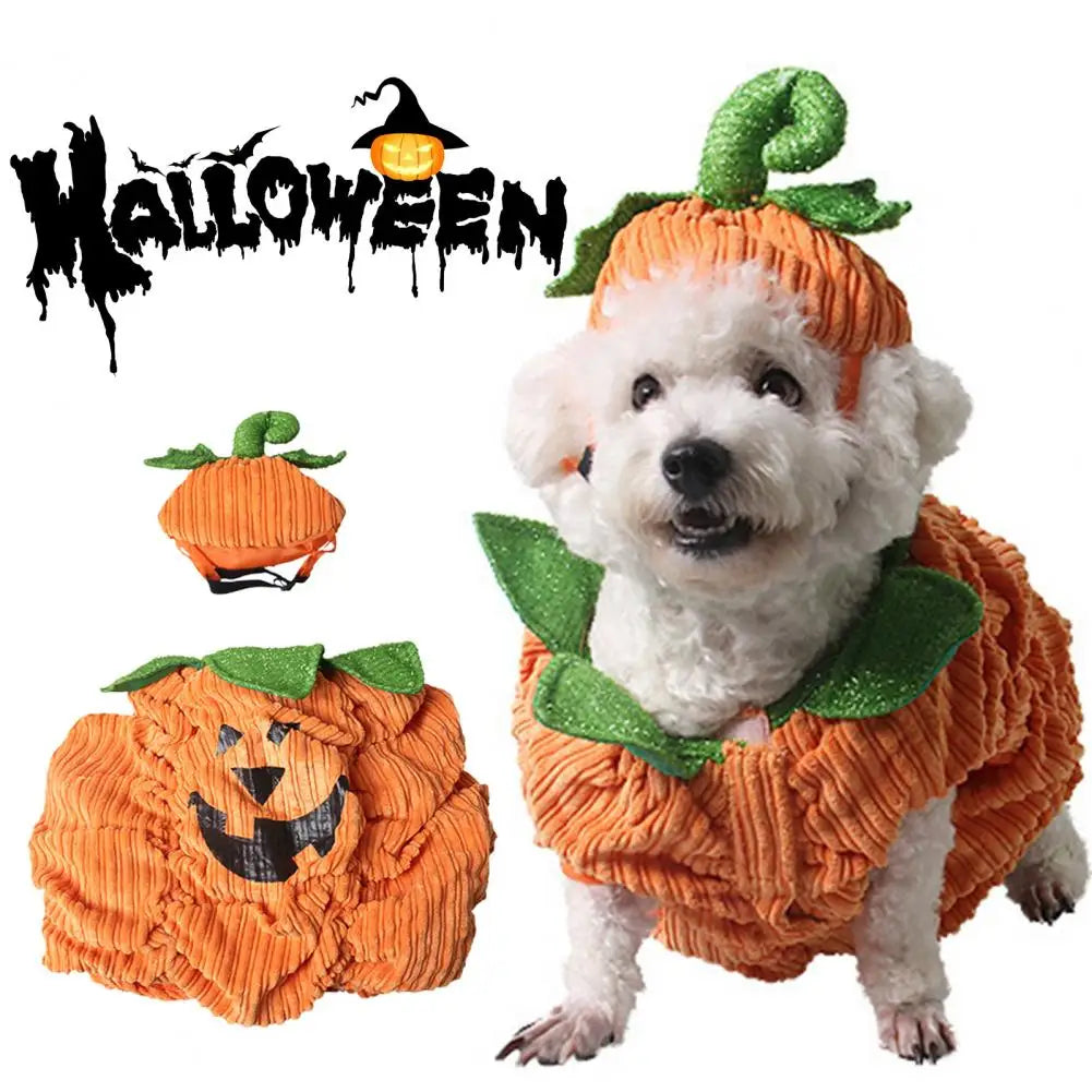 Adorable pumpkin pet costume for small dogs featuring a cute jack-o-lantern face and green leaves