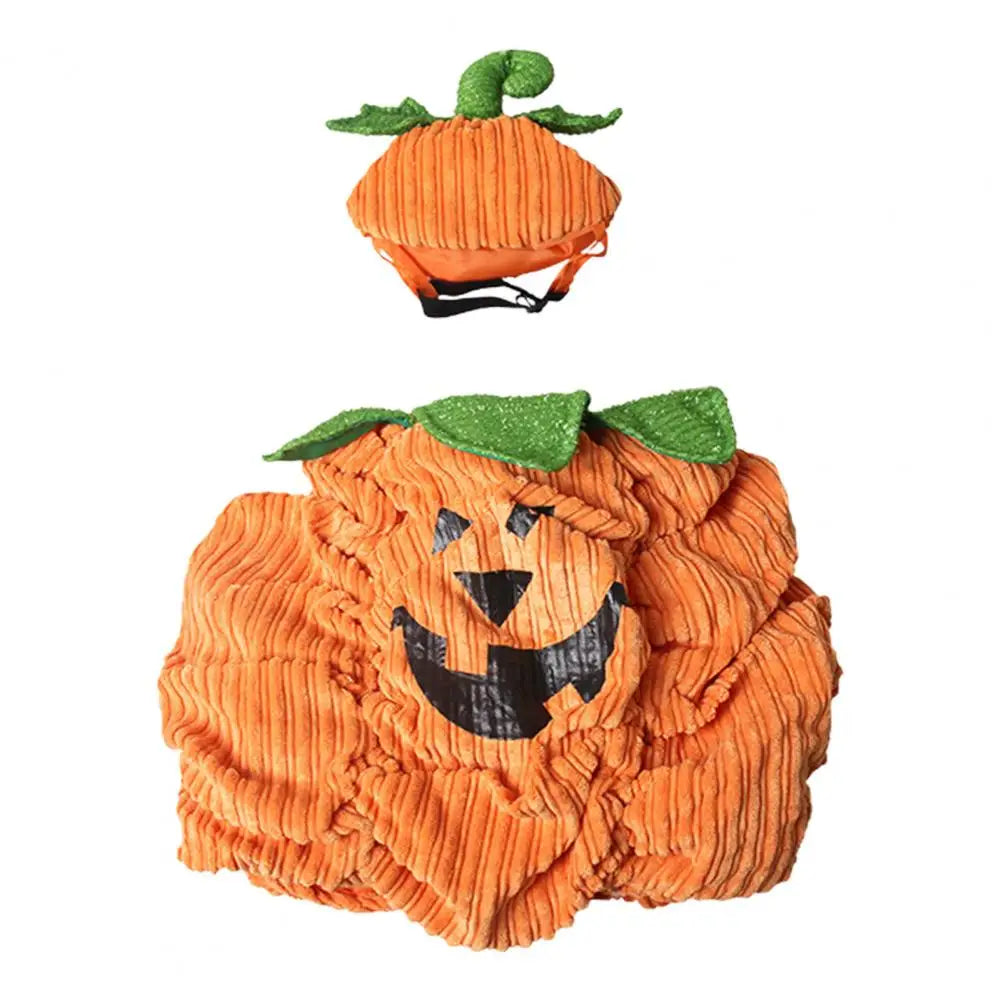 Cute pumpkin pet costume for small dogs featuring a smiling jack-o-lantern design and leafy top