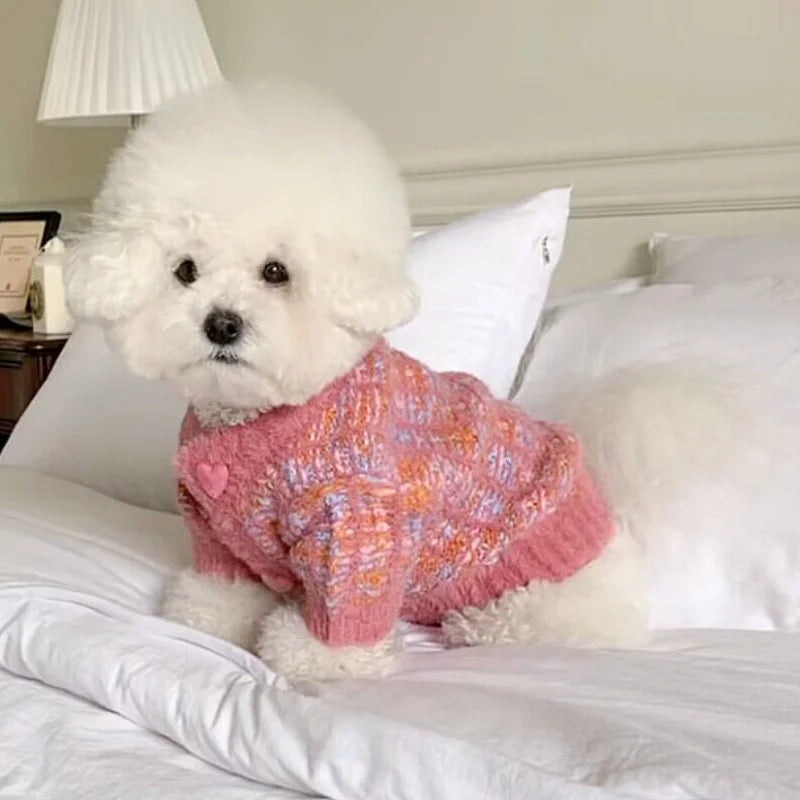 Adorable puppy in a pink knitted coat for winter, cozy and stylish on a bed.