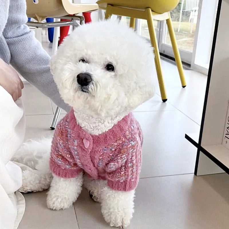 Adorable puppy wearing a pink knitted coat for winter by Zoomies & Co, perfect for keeping warm