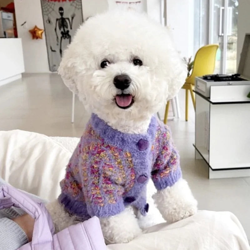 Cute puppy wearing a knitted coat for winter by Zoomies & Co in vibrant purple with decorative buttons