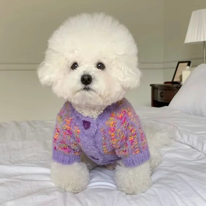 Adorable puppy in a purple knitted coat for winter with floral patterns by Zoomies & Co