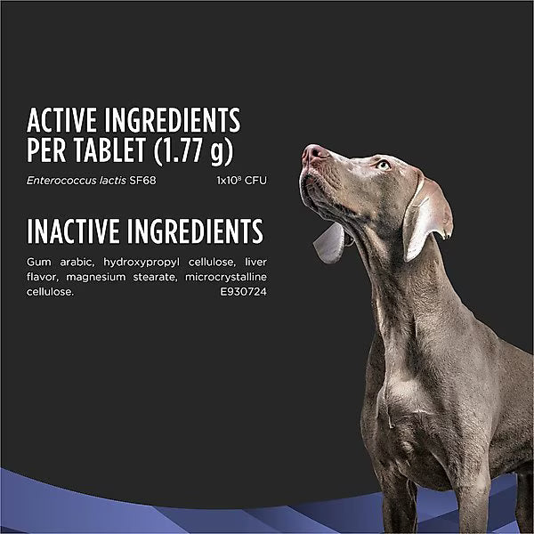 Zoomies & Co dog supplement active and inactive ingredients list with a Weimaraner dog looking up