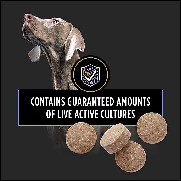 Zoomies & Co dog supplements with guaranteed amounts of live active cultures for pet health