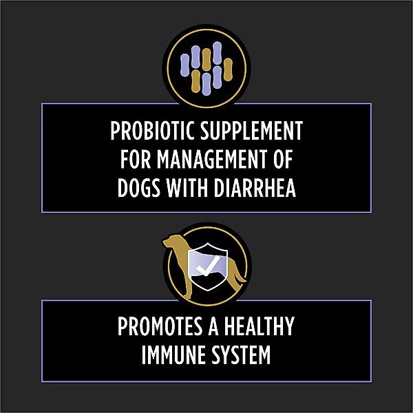 Probiotic supplement for dogs with diarrhea promoting a healthy immune system by Zoomies and Co