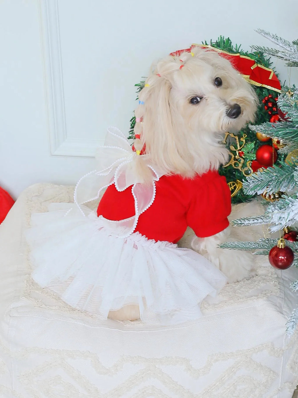 Adorable dog wearing a red tweed dog dress with lace and a fluffy white skirt, perfect for festive occasions
