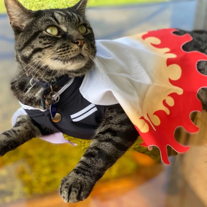 Cat wearing Rengoku pet cosplay costume with flowing cape and collar for playful dress-up
