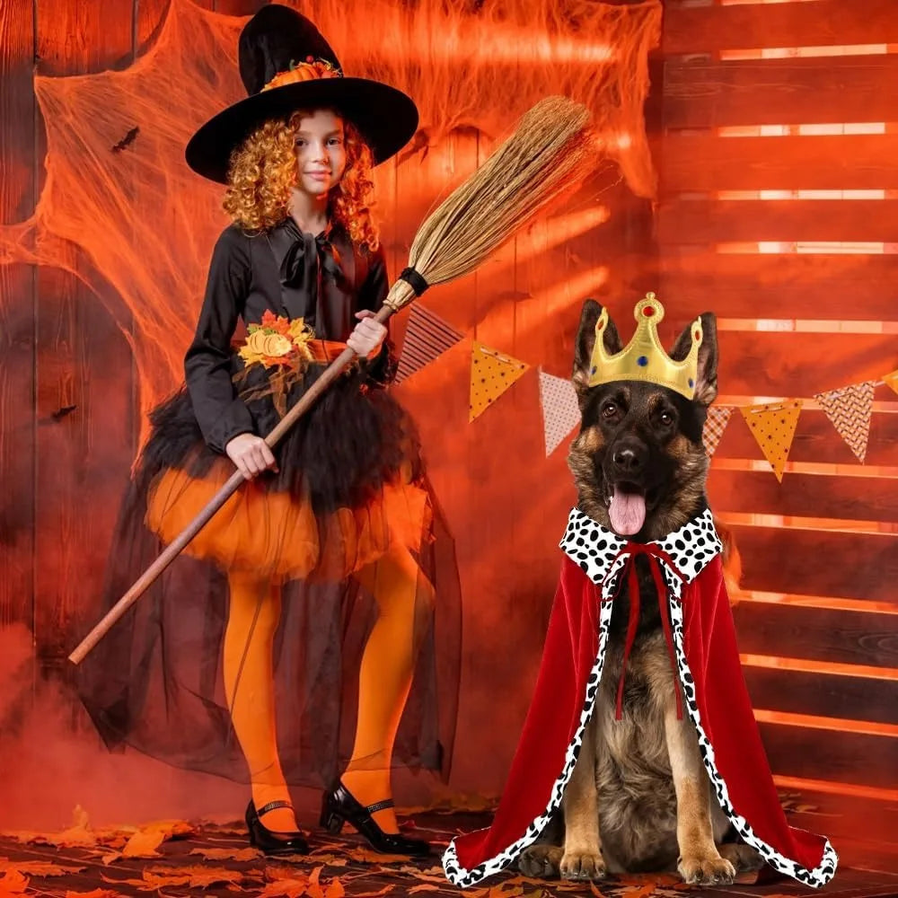 Halloween dog king costume with a regal cape and crown, perfect for festive pet celebrations