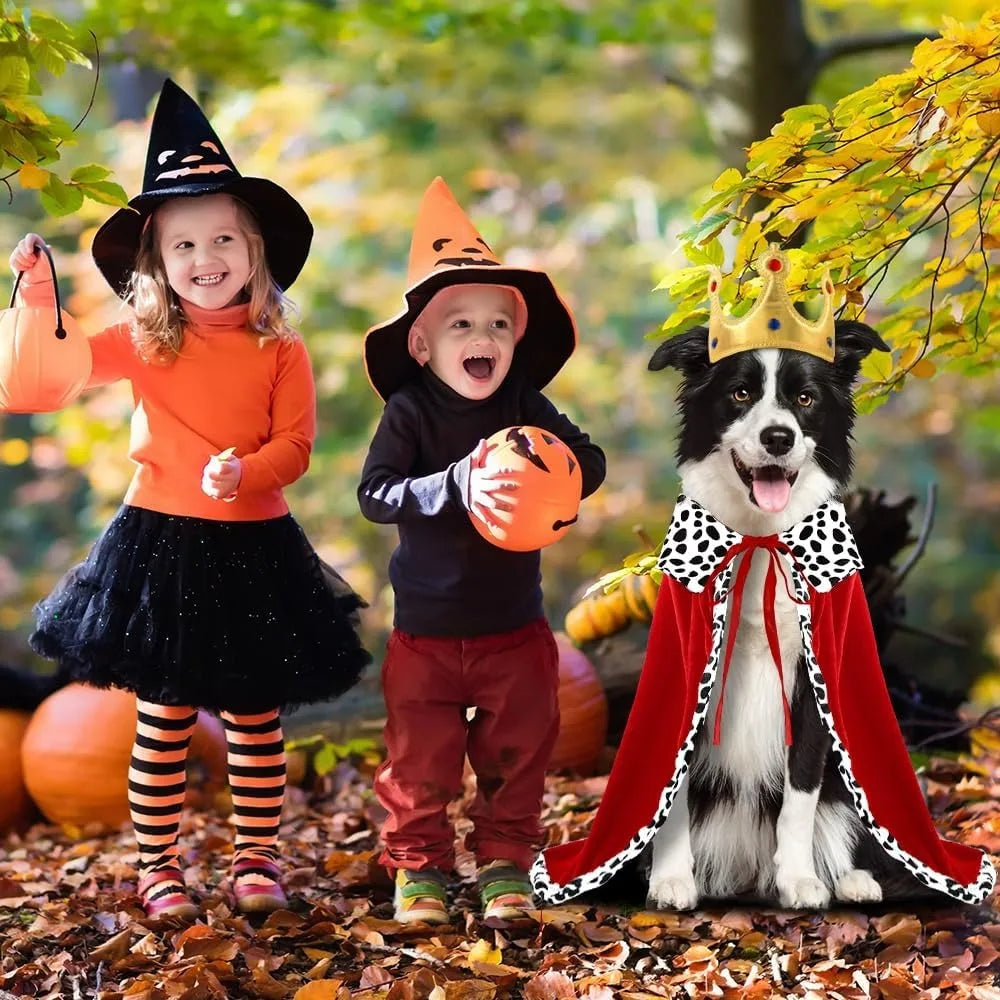 Halloween dog king costume with a dog wearing a crown and red cape alongside kids in witch outfits