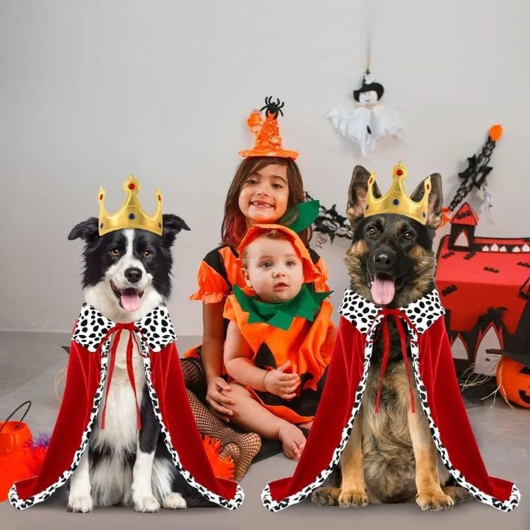 Two dogs in Halloween dog king costume with crowns and capes, posing with a child in a pumpkin outfit