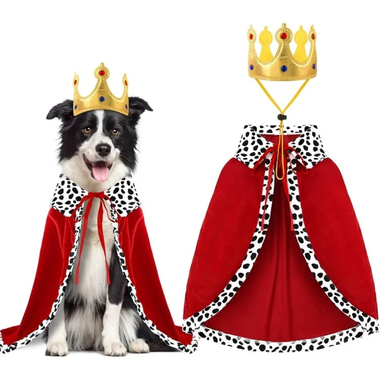 Adorable dog dressed in a Halloween dog king costume with a red cape and crown for festive celebrations