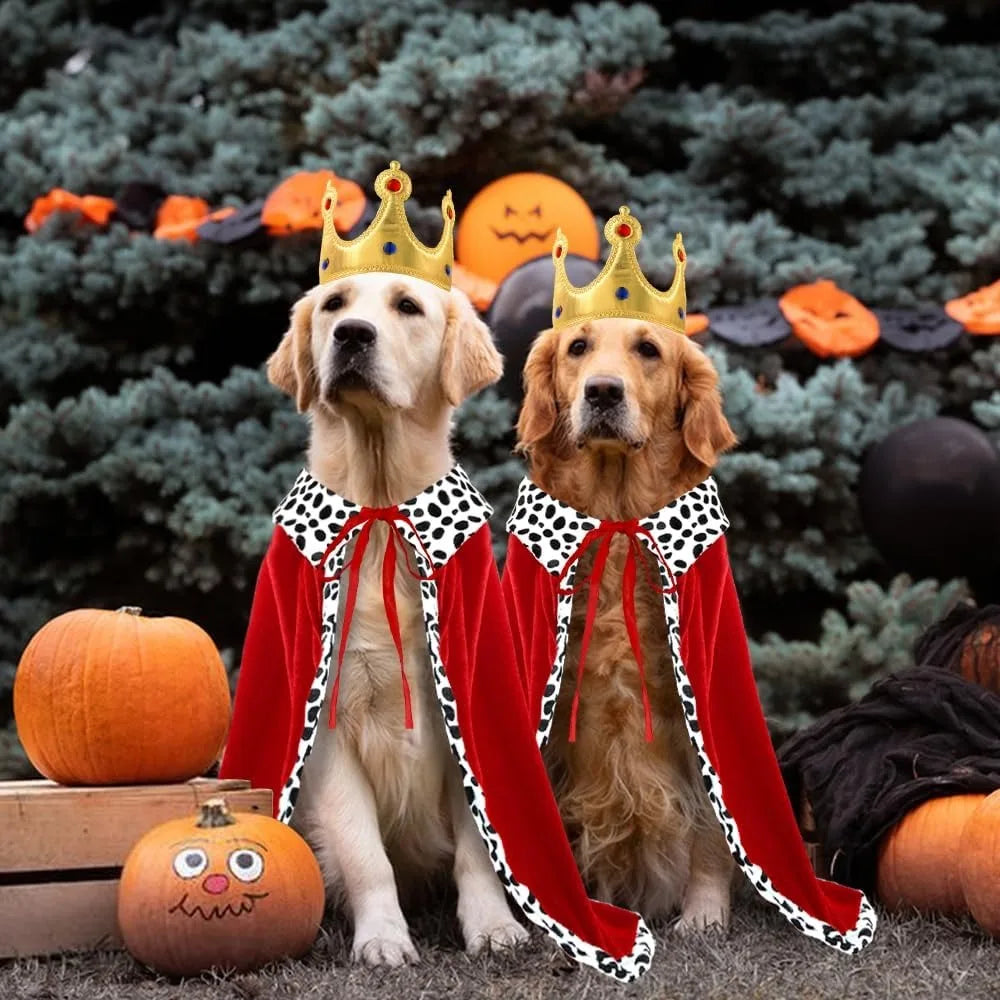 Two dogs in Halloween dog king costume with red capes and crowns among pumpkins and Halloween decorations