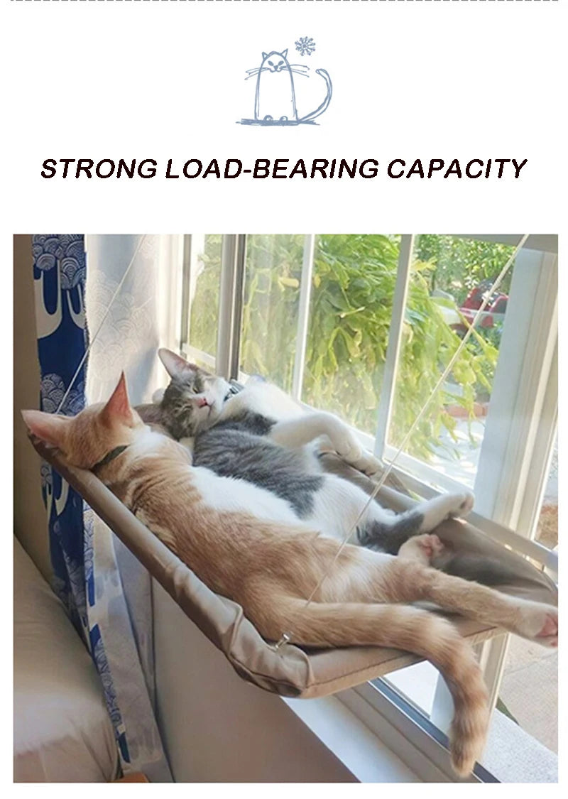 Three cats lounging together on the SkyLounge Window Cat Hammock by Zoomies & Co under sunlight