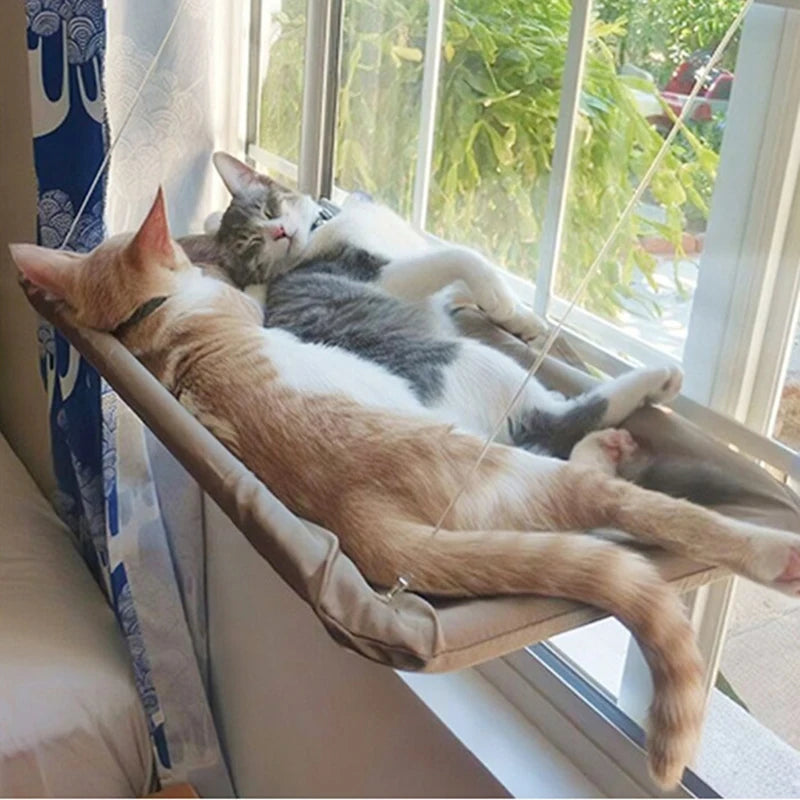 Two cats relaxing in the SkyLounge Window Cat Hammock set against a sunny window view