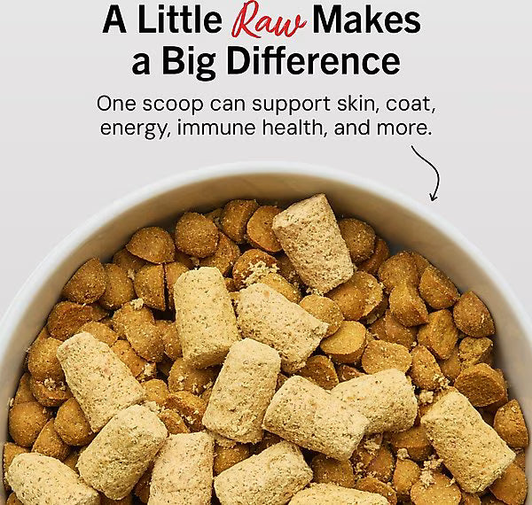 Close-up of Stella and Chewys beef meal mixers in a bowl promoting skin coat energy and immune health support