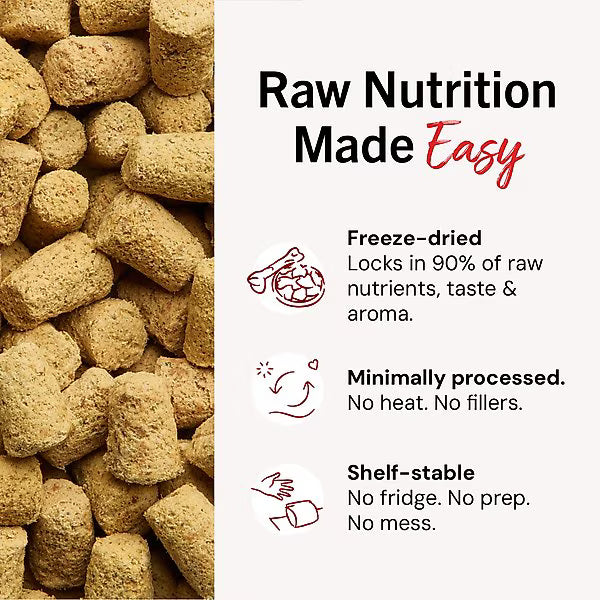 Close-up of freeze-dried Stella and Chewys beef meal mixers highlighting raw nutrition benefits