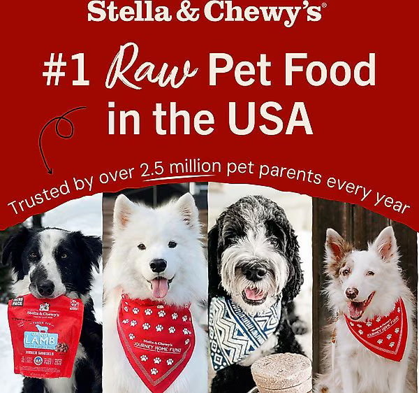 Stella and Chewys beef meal mixers raw pet food packaging with four dogs wearing red and blue bandanas