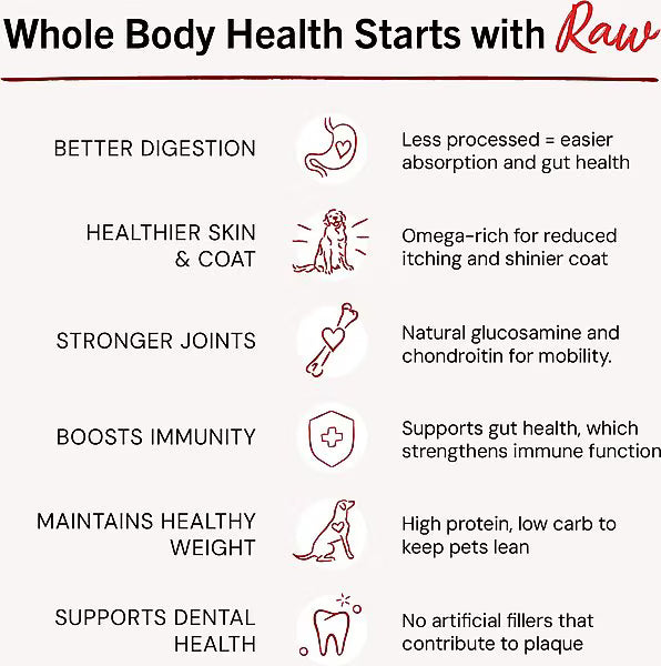 Infographic showing benefits of Stella and Chewys beef meal mixers for whole body health in dogs