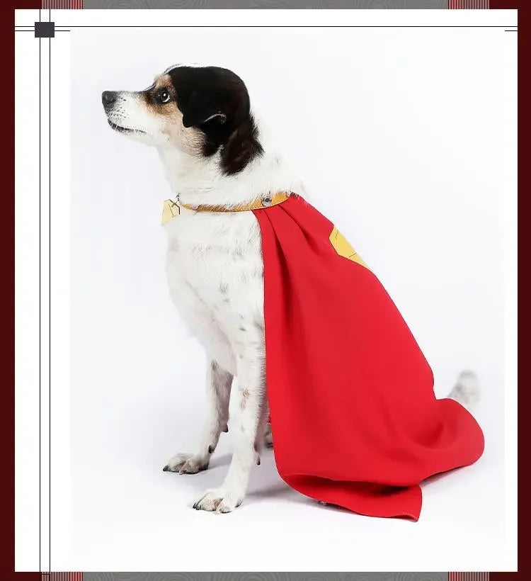 Zoomies & Co Red Superhero Dog Cape with Gold Emblem for Playful Pets