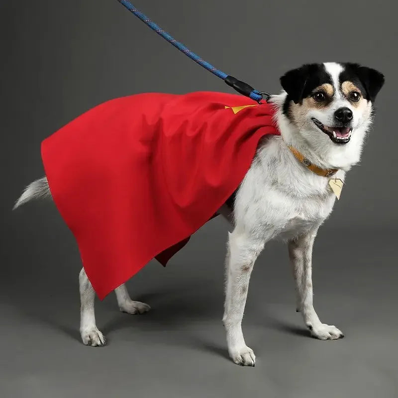Zoomies & Co Red Superhero Dog Cape with Leash Attachment for Pet Dress-Up Fun