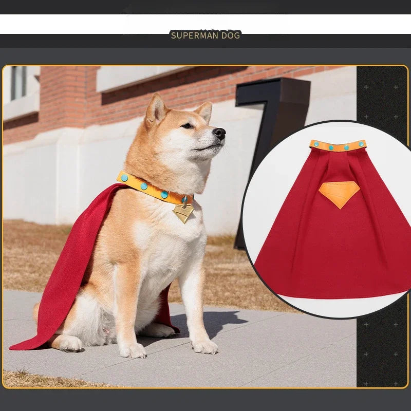Superman Dog Costume with Red Cape and Collar Perfect for Small Pets from Zoomies & Co
