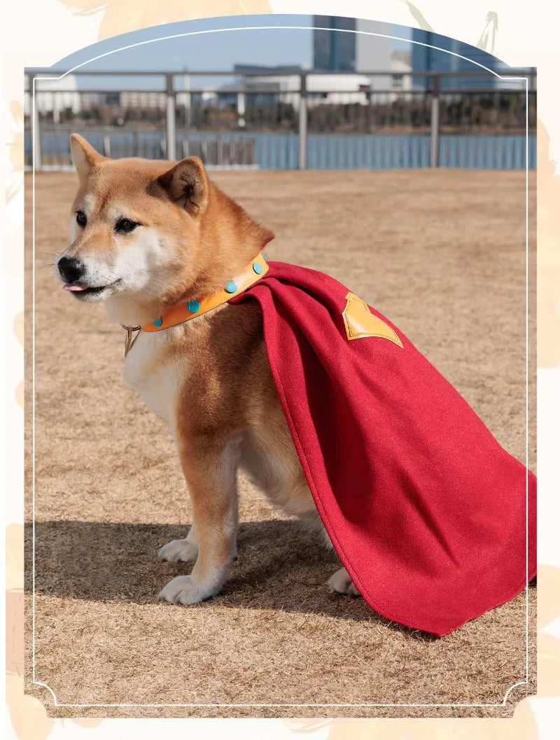 Shiba Inu wearing a red superhero cape from Zoomies & Co. ready for adventures outdoors