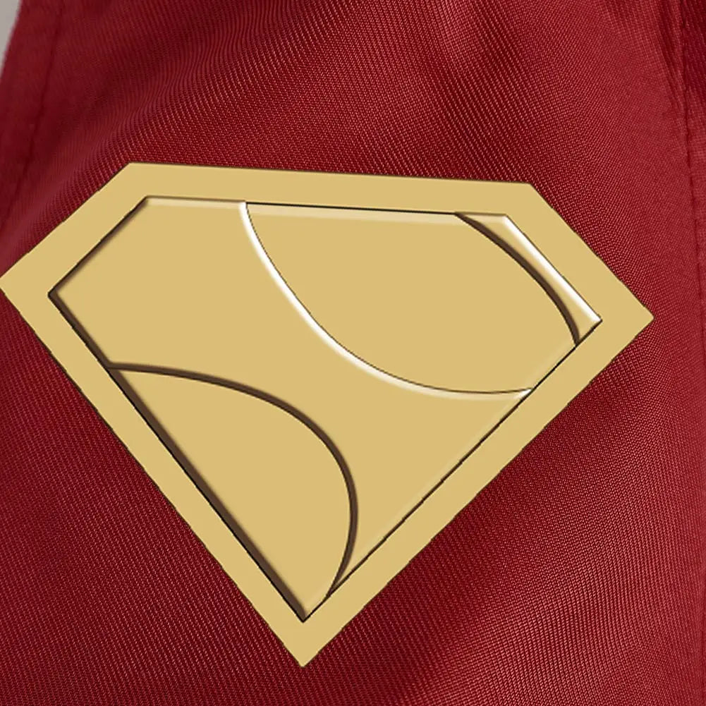 Close-up of the emblem on the Superdog Krypto dog costume for pet superheroes