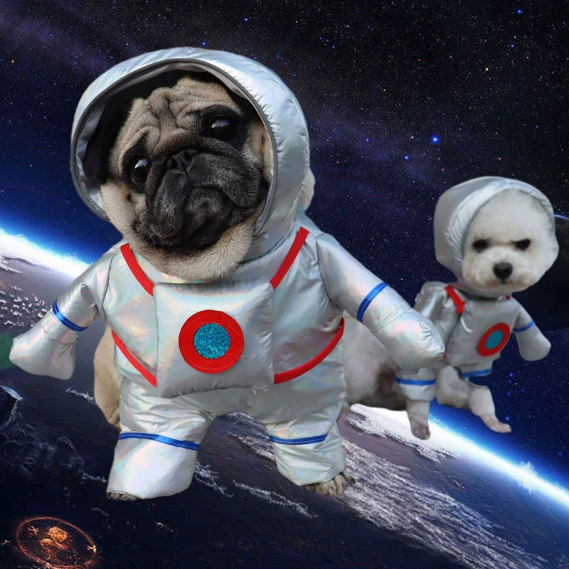 Adorable dogs in space-themed outfits showcasing TikTok trending pet outfits for stylish pets