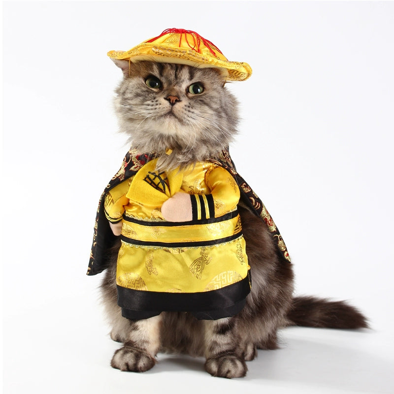 Fluffy cat wearing a yellow outfit and hat, showcasing TikTok trending pet outfits for fashionable pets