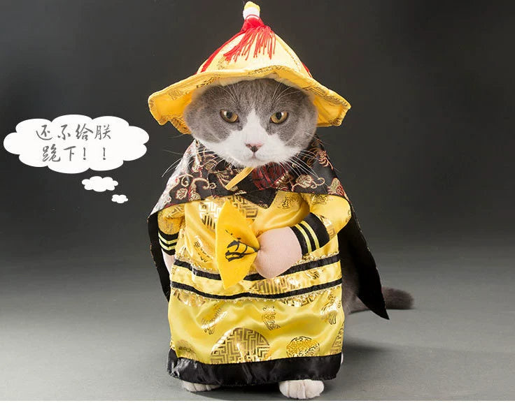 Gray cat wearing a traditional Chinese outfit with a hat and cape, ideal for TikTok trending pet outfits