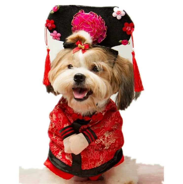 Adorable dog dressed in a traditional Chinese outfit, showcasing TikTok trending pet outfits
