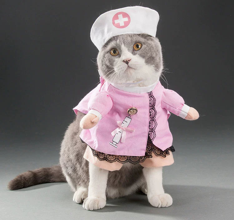 TikTok Trending Pet Outfits