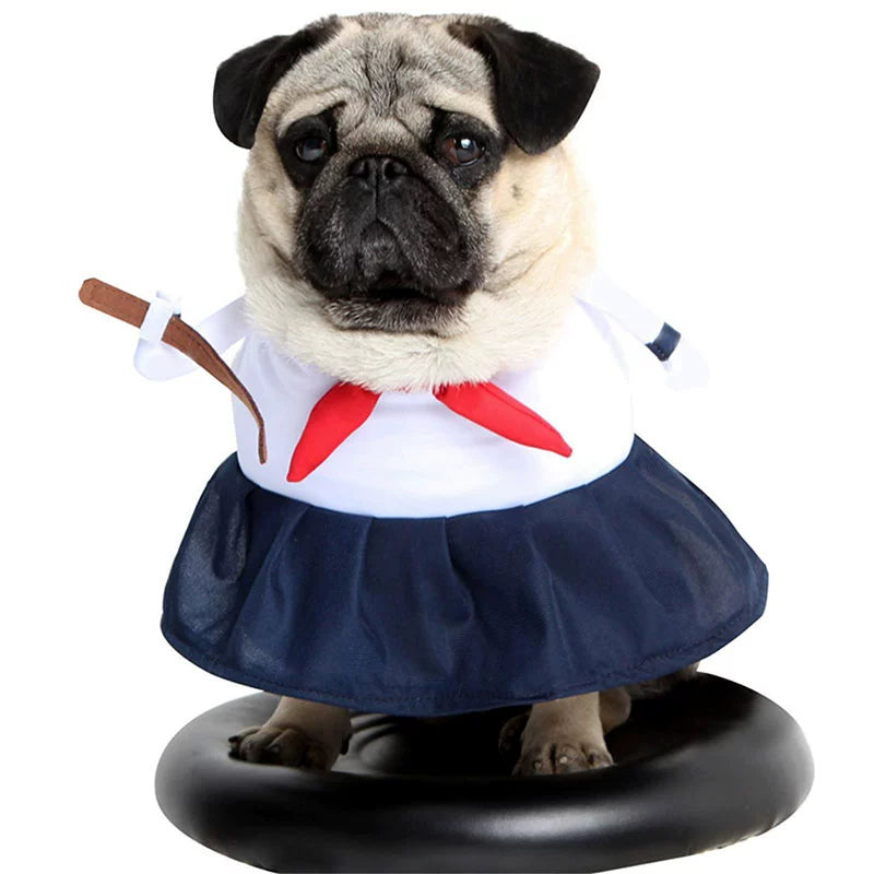 Adorable pug in a sailor outfit, perfect for TikTok trending pet outfits and pet costume events