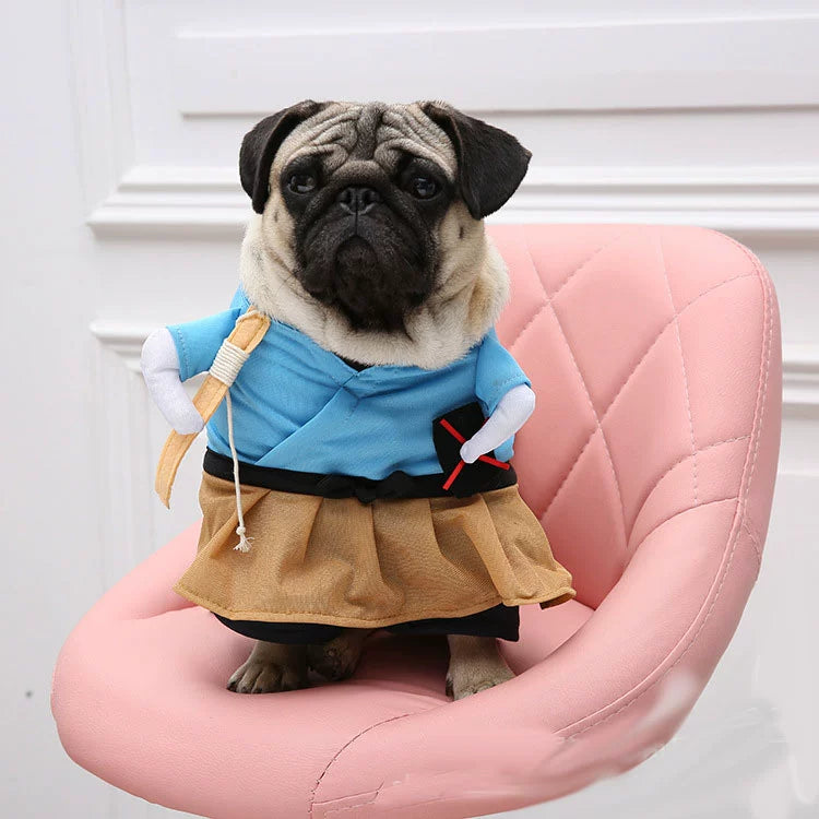 Pug wearing a cute blue and tan outfit, perfect for TikTok trending pet outfits