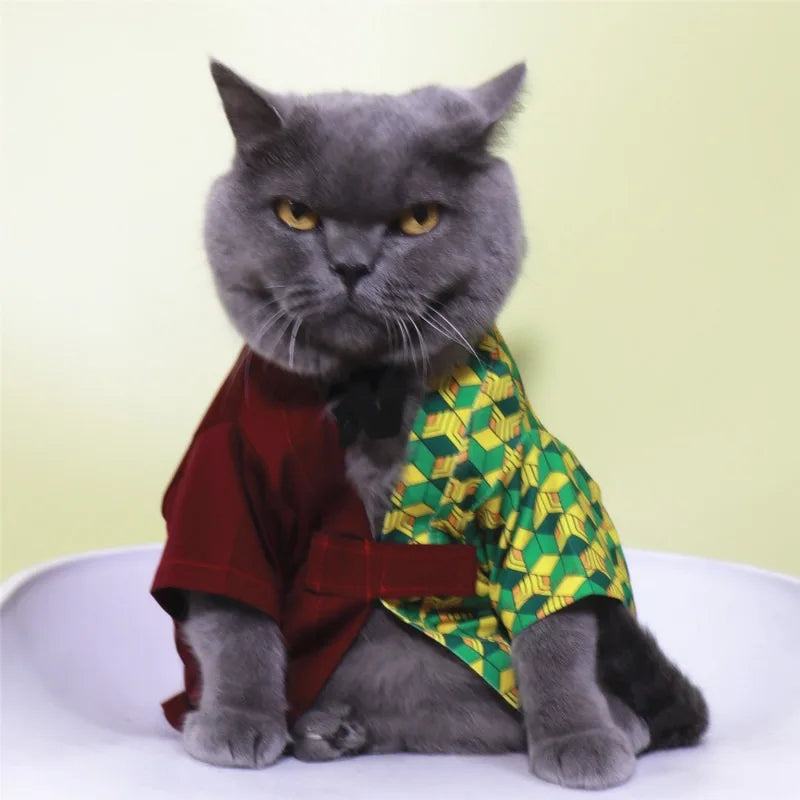Gray cat wearing a Tomioka Giyuu pet costume with vibrant patterns for themed pet dress-up