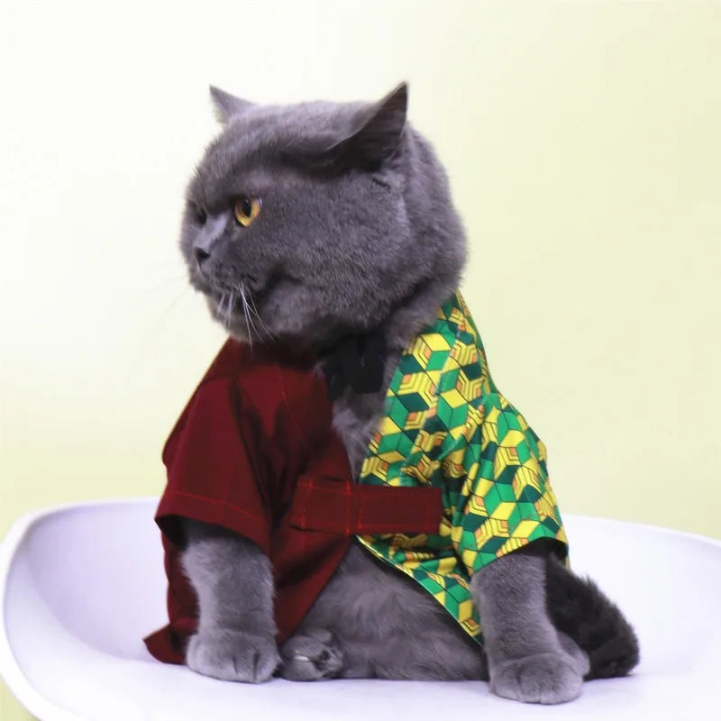 Adorable gray cat in Tomioka Giyuu pet costume with vibrant colors for anime fans