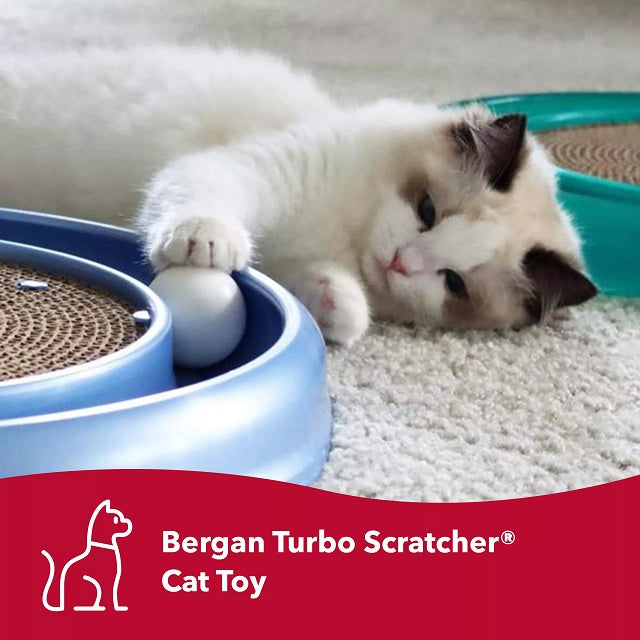 Bergan Turbo Scratcher Cat Toy Scratching Pad Assorted with CATNIP ball