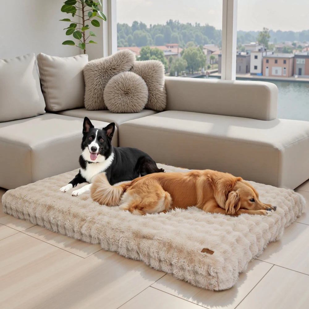 Two dogs resting together on an ultra plush dog bed in a cozy living room setting